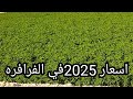 اسعار السنه الجديده في الفرافره شركه ام جي للاستثمار الزراعي محمد المحلاوي 