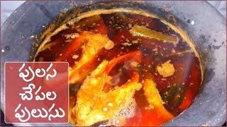 పలస చప పలస Godavari Special Pulasa Fish Curry Pulasa Recipe In Telugu