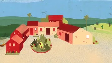 How Sterile Insect Technique Helps Fighting The Spread of Mosquitoes and Diseases 08-02-2016 ENGLISH