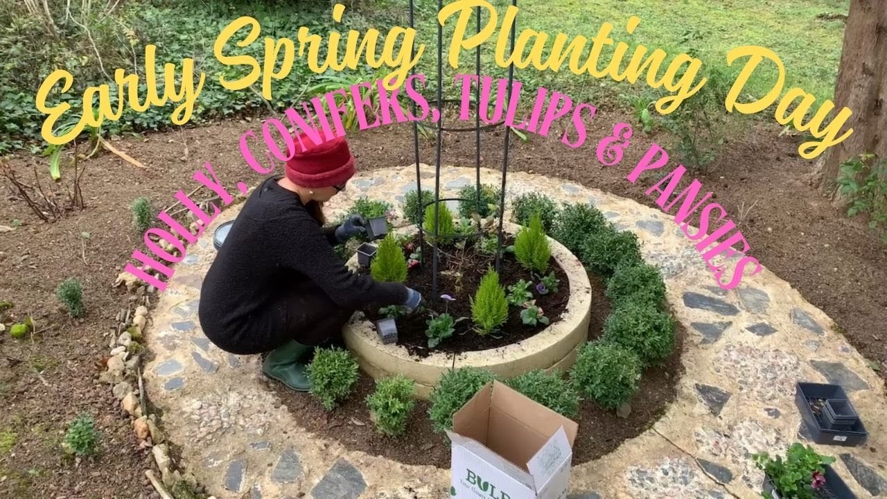 Посадка весенних растений 🌸 | Падуб, хвойные деревья, тюльпаны и анютины глазки для красочного сада