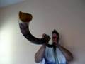 Shofar Profético