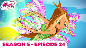 Winx Club - FULL EPISODE | Saving Paradise bay | Season 5 Episode 24