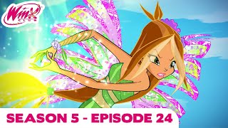 Winx Club  FULL EPISODE | Saving Paradise bay | Season 5 Episode 24