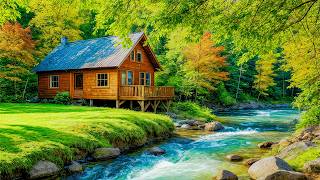 Relaxing Music with Water and Forest 🍃 Deep Relaxation, Meditation and Restful Sleep