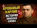 Николай Ежов | Как маленький человек чистил НКВД