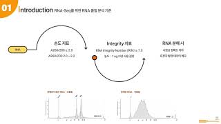 [iNtRON] easy-spin™ Total RNA Extraction Kit