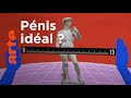 Le pénis, une question de taille ! | Gymnastique, la culture en s'amusant | ARTE