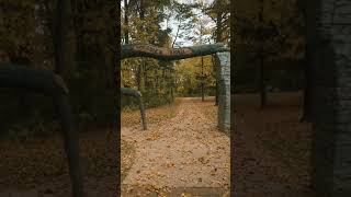 Fall Hike | Chessie's Trail 4 #shorts