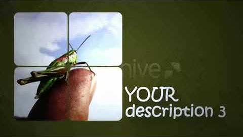 4 blocks | After Effects Project Files - Videohive template