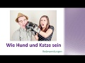 Wie Hund und Katze sein - Redewendungen