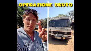 Operation to recover Brutus begins