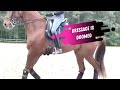Dressage is doomed worst dressage lesson ever with olympian jacqueline brooks