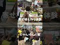 【農場祭】次回開催は5/31〜6/1【農業屋】 #shorts #アジサイ #観葉植物 #多肉植物 #松阪
