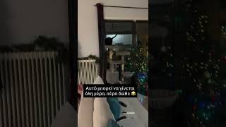 Αυτό μπορεί να γίνεται όλη μέρα 😂 #κατοικιδια