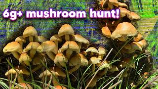 6G+MUSHROOM TRIP HUNTING IN SKYISLAND BIOME RARE SPECIES FOUND! PART ONE #growersmindset