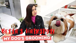 My Shihtzu Dog's New HAIRCUT *BELLA'S GROOMING DAY*