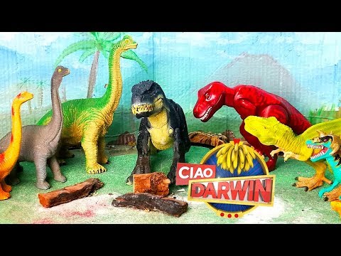 Video: I Dinosauri Erbivori Mangiavano Carne - Visualizzazione Alternativa