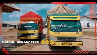 Status wa lucu truk