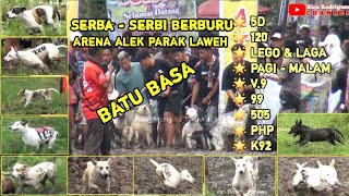 Eps.2 || SERBA - SERBI BERBURU ALEK BATU BASA
