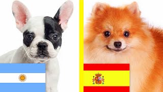 EL PERRO MÁS VENDIDO EN CADA PAÍS