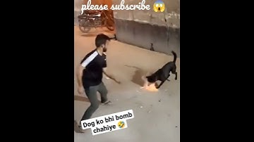 #Becareful Bacho aur dogs ko Bomb se dur rakhe Jarur🙏🙏#Happy Diwali 💥💥