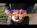 Старики Осенний Марафон