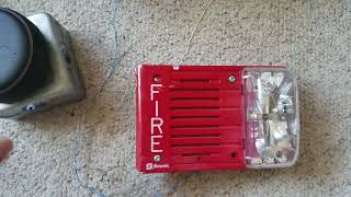 Simplex 4903-9219 Horn Strobe Test