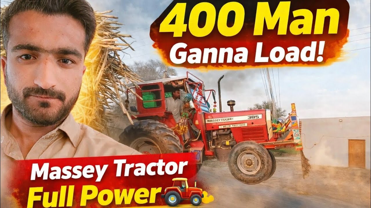 400 Man Ganna Load | Massey Tractor Full Power| Village Life| 