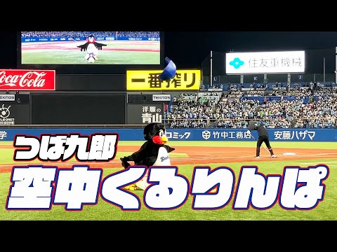 今シーズンもチャレンジ！つば九郎空中くるりんぱ｜2024年3月29日 中日ドラゴンズ戦（神宮球場）