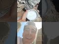 تاحالا شیر الاغو امتحان کردین یانه شیر الاغ تنفس شلتنا تاحالا شیر الاغو امتحان کردین یانه شیر الاغ تنفس شلتنا