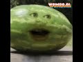 Annoying Watermelon maiyahi