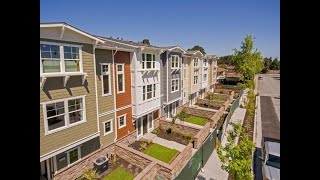 Explore the Best of 94086 Sunnyvale Real Estate A Stunning Tract Tour of Olive Tree Terrace