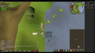 2021122602 runescape