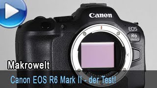 Canon EOS R6 Mark II - der Test