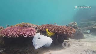 #futureyes #3100Ad #oceancleanup