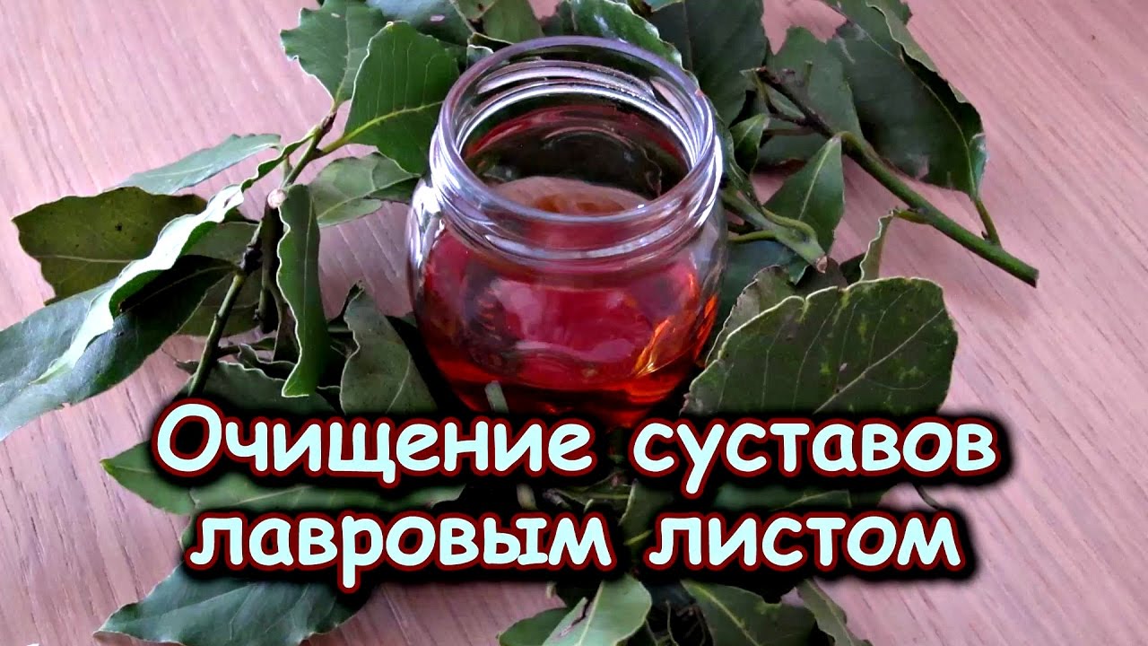 Лечение суставов лавровым листом Лечение суставов лавровым листом
