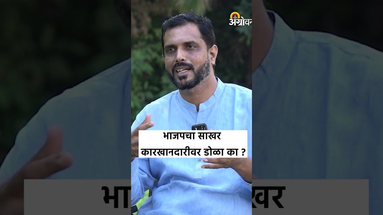 भाजपचा साखर कारखानदारांवर डोळा का? | Ramesh Jadhav | Harshawardhan Patil