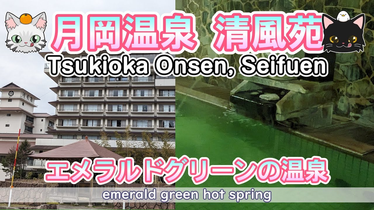 [Отель Сейфуэн] Изумрудно-зеленый горячий источник [Цукиока Онсэн]