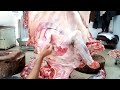 Fastest beef cutting skills beef cutting expert shoaib qureshi
