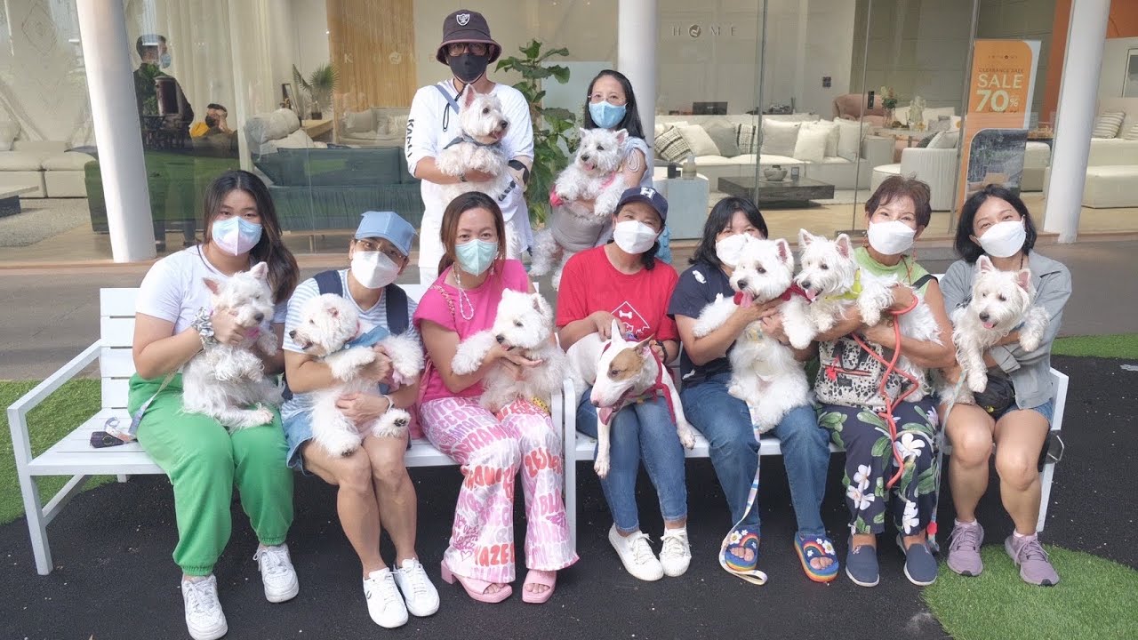 รวมภาพบรรยากาศในงาน CDC DOG Ambassador Search & Dog training 2022 