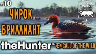 theHunter Call of the Wild #10 🔫 - Чирок Бриллиант - Утиные Места theHunter Call of the Wild #10 🔫 - Чирок Бриллиант - Утиные Места