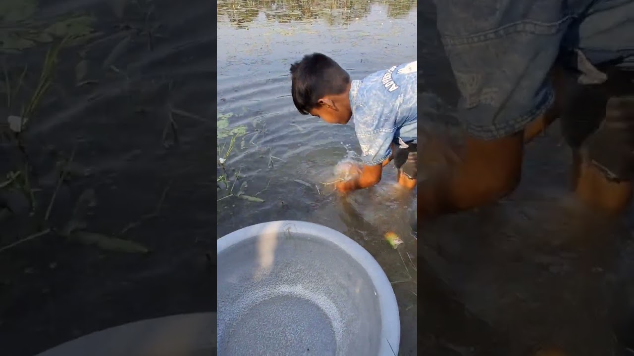Traditional System fishing in the village 