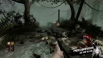 BO1 Shi no numa with randoms#2