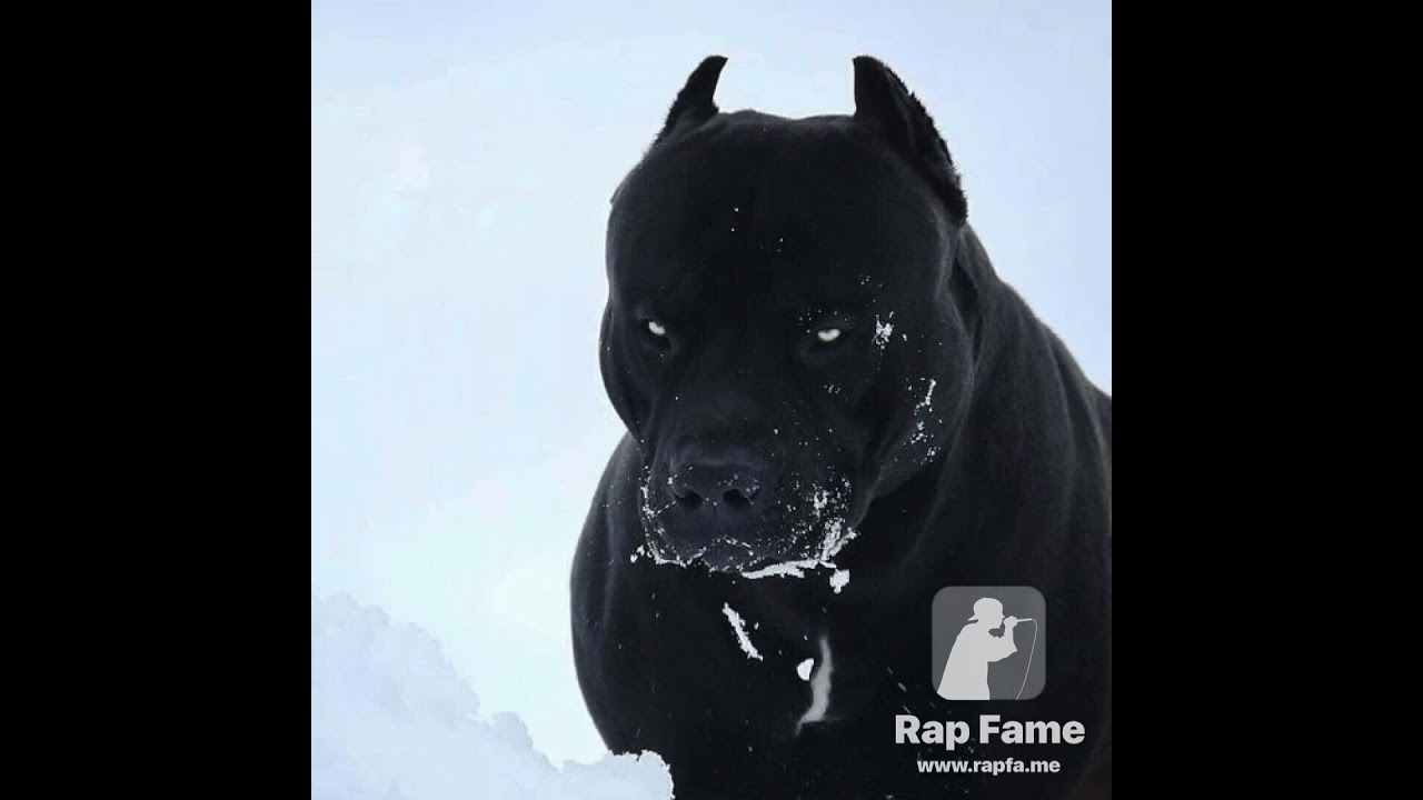 Everything for E4N E4B