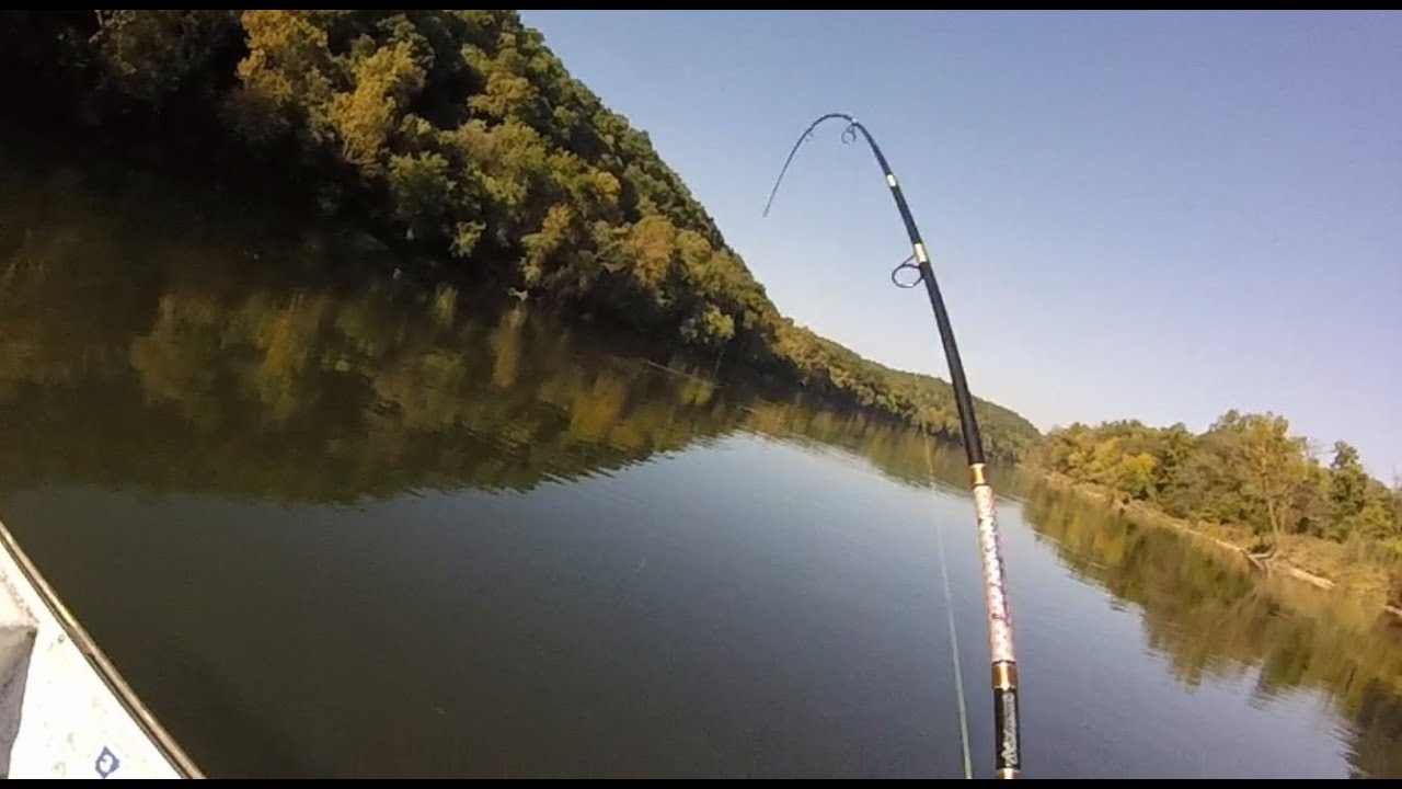 Oct. 2022 trout fishing White River YouTube
