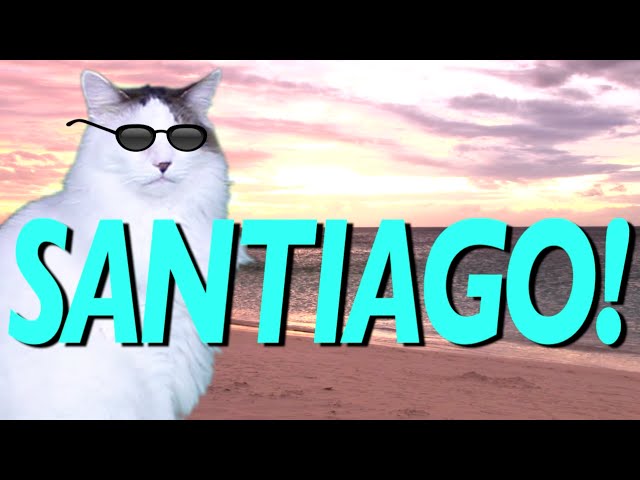 HAPPY BIRTHDAY SANTIAGO! - EPIC CAT Happy Birthday Song