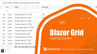 Blazor Grid: Get Started