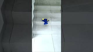 Celebrity Cuando te caes en la vida real VS La rosa de Guadalupe Profile