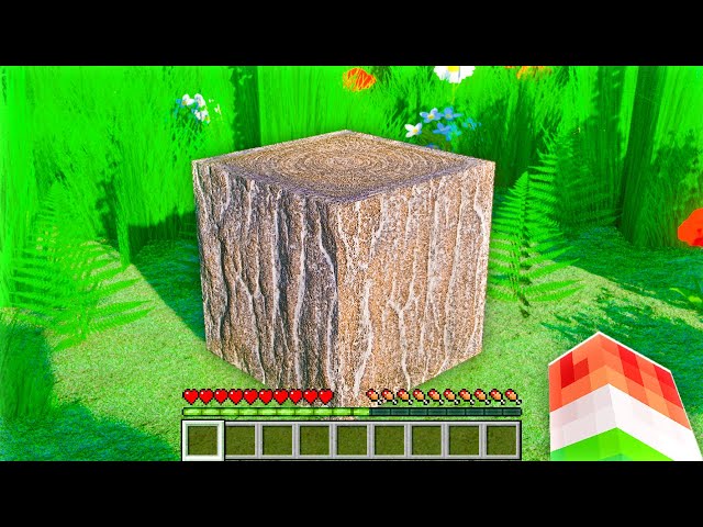 Minecraft Realista #01 - DENTRO DO MINECRAFT !! (REALISTIC MINECRAFT) 