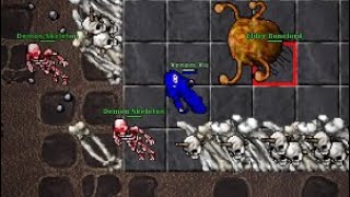 Knight (181) Elder Bonelord Hunt